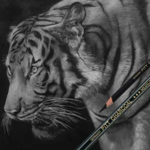 Pitt Charcoal Faber-castell