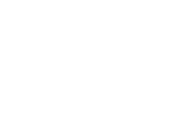 Copic Award 2026